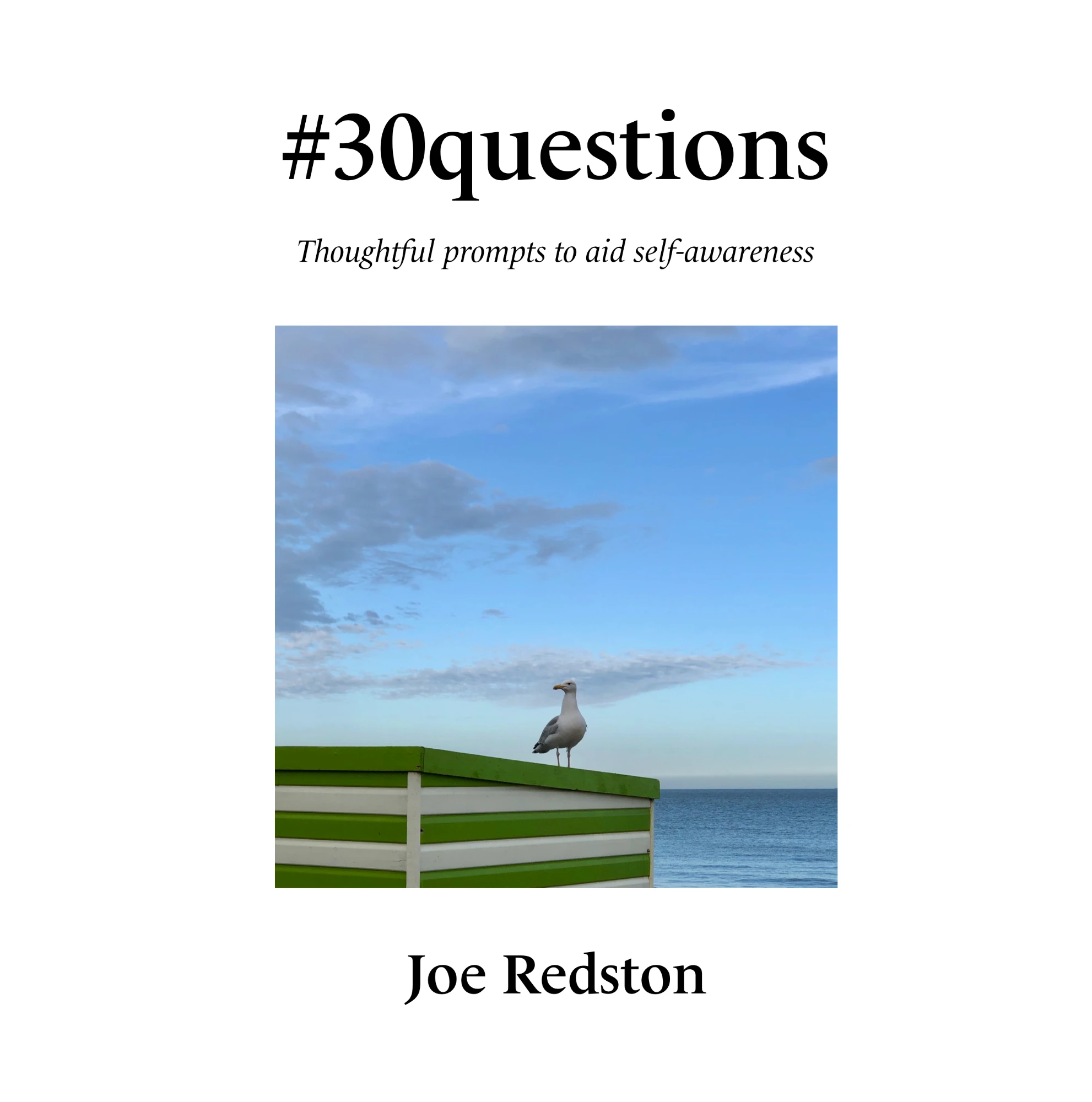#30Questions book cover